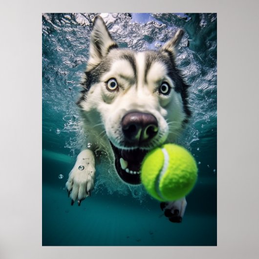 Cute Siberian Husky Diving Underwater Poster (Voorkant)