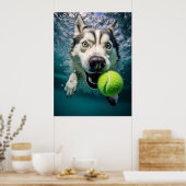 Cute Siberian Husky Diving Underwater Poster (Keuken)