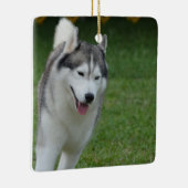 Cute Siberian Husky Keramisch Ornament (Rechts)