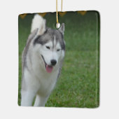 Cute Siberian Husky Keramisch Ornament (Links)