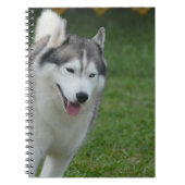 Cute Siberian Husky Notitieboek (Voorkant)