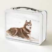 Cute Siberian Husky Portrait (Achterkant)