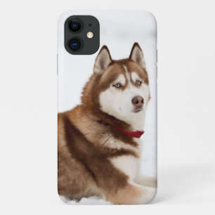 Cute Siberian Husky Portrait Case-Mate iPhone Case