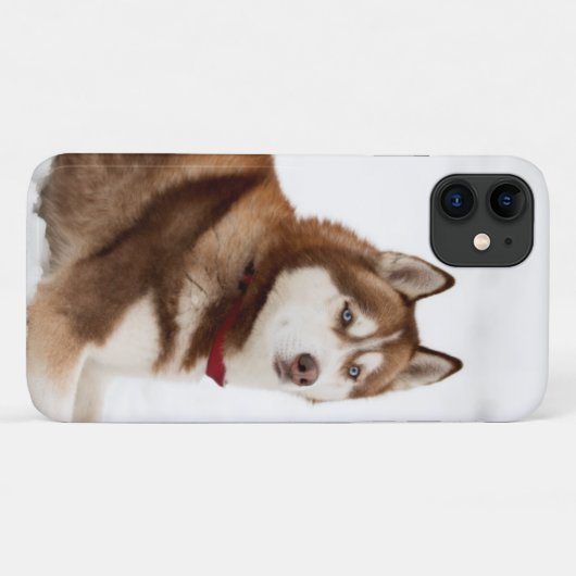 Cute Siberian Husky Portrait Case-Mate iPhone Case (Achterkant (horizontaal))