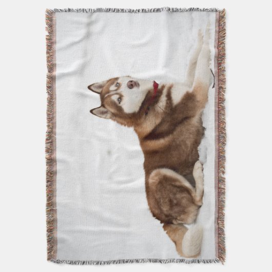 Cute Siberian Husky Portrait Deken (Voorkant Verticaal)