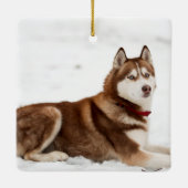 Cute Siberian Husky Portrait Keramisch Ornament (Achterkant)