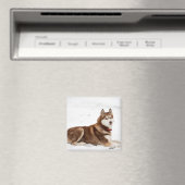Cute Siberian Husky Portrait Magneet (Insitu (Vaatwasser))