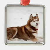 Cute Siberian Husky Portrait Metalen Ornament (Voorkant)