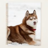 Cute Siberian Husky Portrait Planner (Voorkant)