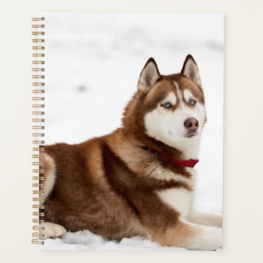 Cute Siberian Husky Portrait Planner (Voorkant)