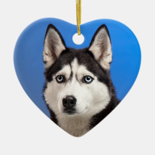 Cute Siberian Husky Puppy Dog Keramisch Ornament (Voorkant)