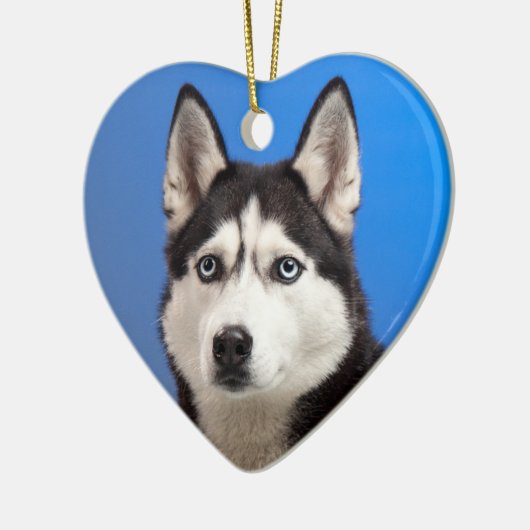 Cute Siberian Husky Puppy Dog Keramisch Ornament (Links)