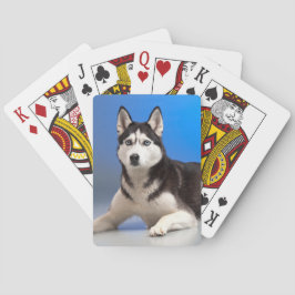 Cute Siberian Husky Puppy Dog Pokerkaarten