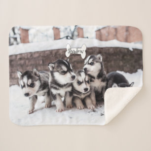 Cute Siberian Husky Puppy Dogs Blanket Name Bone Sherpa Deken