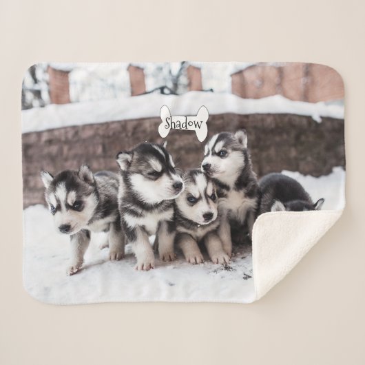 Cute Siberian Husky Puppy Dogs Blanket Name Bone Sherpa Deken (Voorkant (horizontaal))
