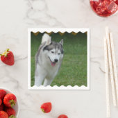 Cute Siberian Husky Servetten (Insitu)