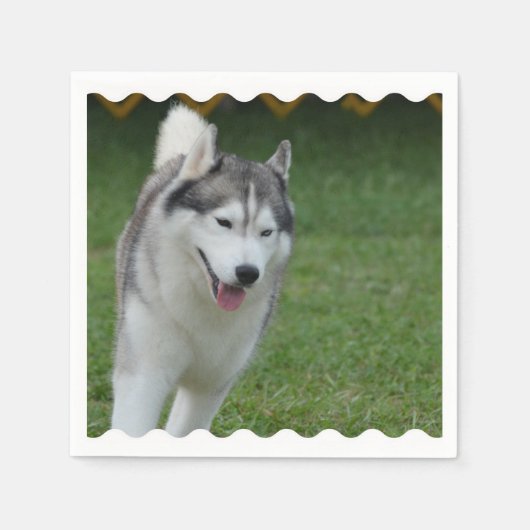 Cute Siberian Husky Servetten (Voorkant)