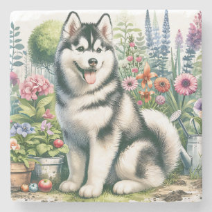 Cute Siberian Husky Stenen Onderzetter