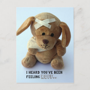 Cute Sick Teddy Dog krijgt goed briefkaart