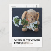 Cute Sick Teddy Dog krijgt goed briefkaart (Voorkant / Achterkant)