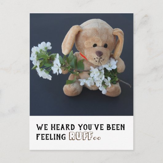 Cute Sick Teddy Dog krijgt goed briefkaart (Voorkant)