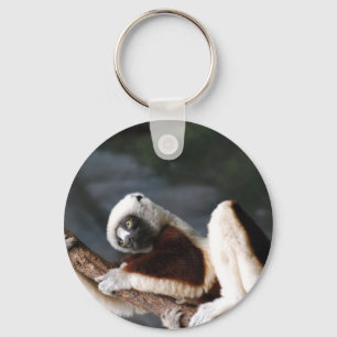 Cute Sifaka Lemur Sleutelhanger