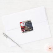 Cute Silver Fox Guinea Pig. en Santa Claus Vierkante Sticker (Envelop)