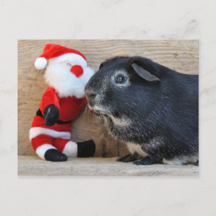 Cute Silver Fox Guinea Pig. en Santa Feestdagenkaart