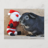 Cute Silver Fox Guinea Pig. en Santa Feestdagenkaart (Voorkant)