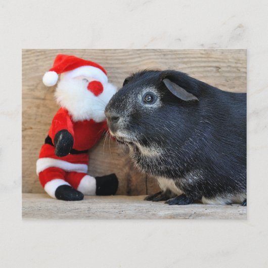 Cute Silver Fox Guinea Pig. en Santa Feestdagenkaart (Voorkant)