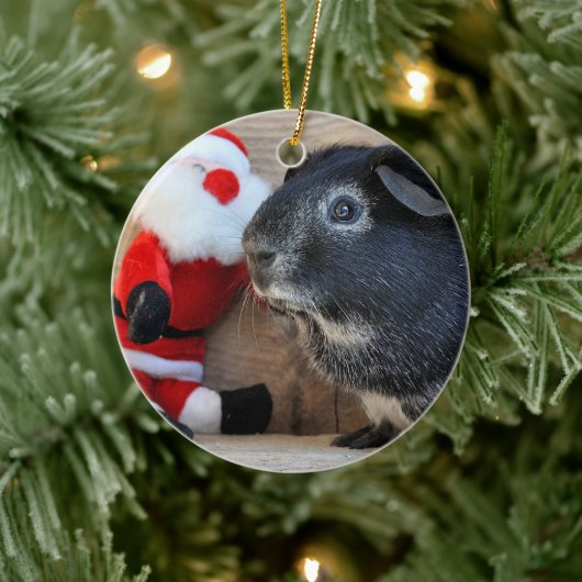 Cute Silver Fox Guinee PIg en Santa Claus Keramisch Ornament (Boom)
