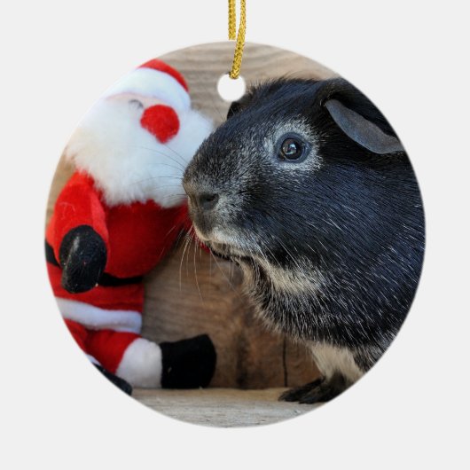 Cute Silver Fox Guinee PIg en Santa Claus Keramisch Ornament (Voorkant)