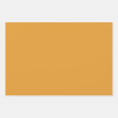 Cute Sinaasappels en Green Leaves Pattern Inpakpapier Vel (Voorkant 2)