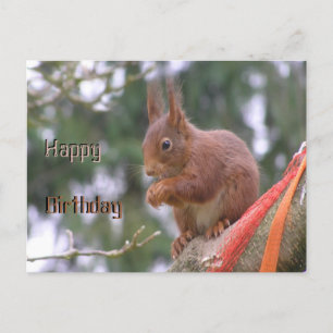 Cute Sitting Squirrel Happy Birthday Briefkaart