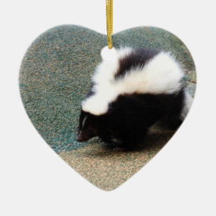 Cute Skunk Ornaments Keramisch Ornament