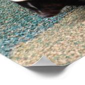 Cute Skunk Poster (Hoek)