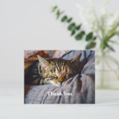 Cute Slaande Tabby Kat Foto Bedankt Briefkaart (Staand voorkant)