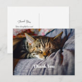 Cute Slaande Tabby Kat Foto Bedankt Briefkaart (Voorkant / Achterkant)