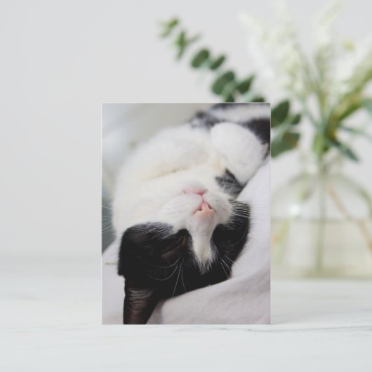 Cute slaapcat tombe slaapt briefkaart (Staand voorkant)