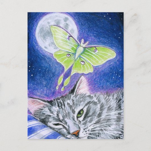 Cute Slapende Cat met Luna Moth, Mon briefkaart (Voorkant)