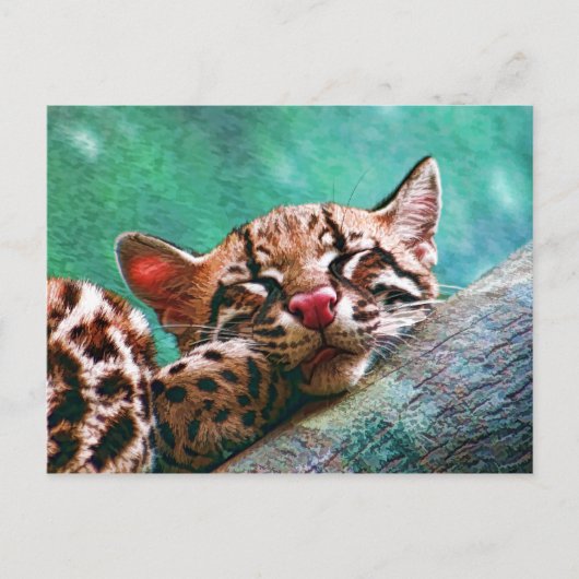 Cute Slaping Baby Ocelot Kitten Briefkaart (Voorkant)