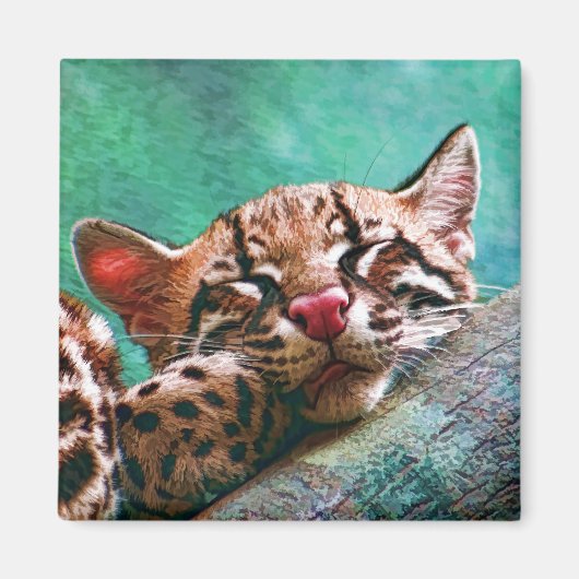 Cute Slaping Baby Ocelot Kitten Magneet (Voorkant)