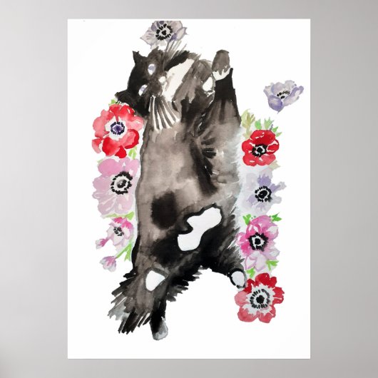 Cute Slaping Black White Tuxedo Cat Cats Poster (Voorkant)