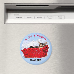 Cute Slaping Kitten in Red Basket - aangepaste fot Magneet