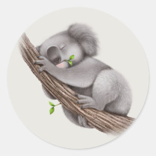 Cute slapy Koala Beer Ronde Sticker