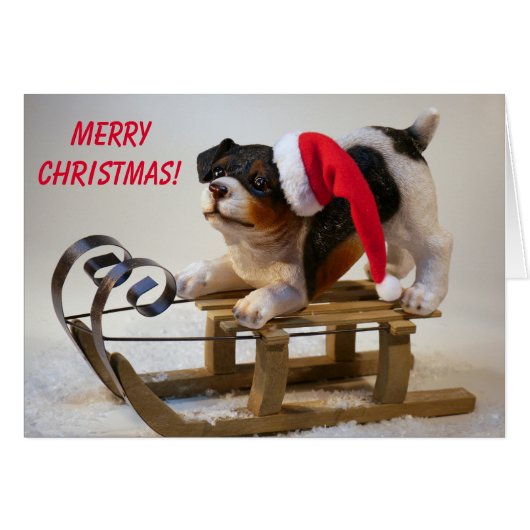 Cute Sled Dog Kerstmis (Voorkant Horizontaal)