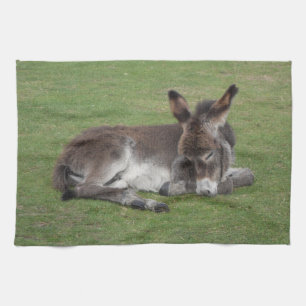 Cute Sleeping Donkey Baby Foal Theedoek