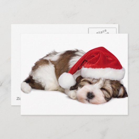 Cute Sleeping Havanese Puppy Dog is droomig Briefkaart (Voorkant / Achterkant)