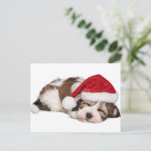 Cute Sleeping Havanese Puppy Dog is droomig Briefkaart (Staand voorkant)