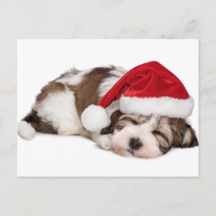 Cute Sleeping Havanese Puppy Dog is droomig Briefkaart